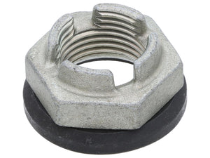 Axle Nut