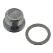 Load image into Gallery viewer, Differential Drain Plug