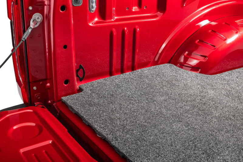 Photo - Close Up