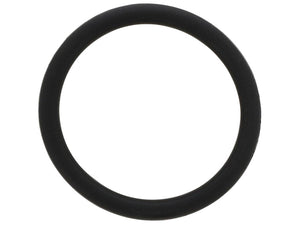 Turbo Drain O-Ring