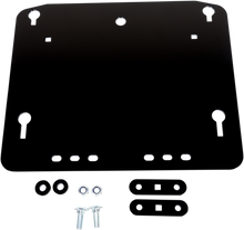 Load image into Gallery viewer, 45010735_0.png