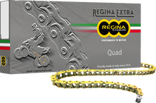 Load image into Gallery viewer, 520 Quad - Drive Chain - 120 Links - Main Product View