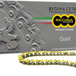 Load image into Gallery viewer, 520 Quad - Drive Chain - 98 Links - Main Product View