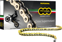 Load image into Gallery viewer, 520 RX3 - Drive Chain - 110 Links - Main Product View
