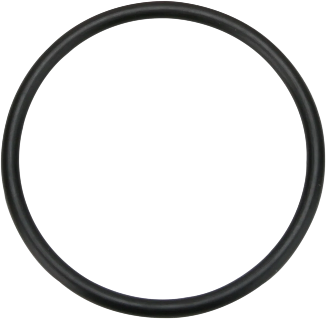 5th Gear Clutch Side Mainshaft Seal - Big Twin James Gasket JGI-12044-DL - Side View