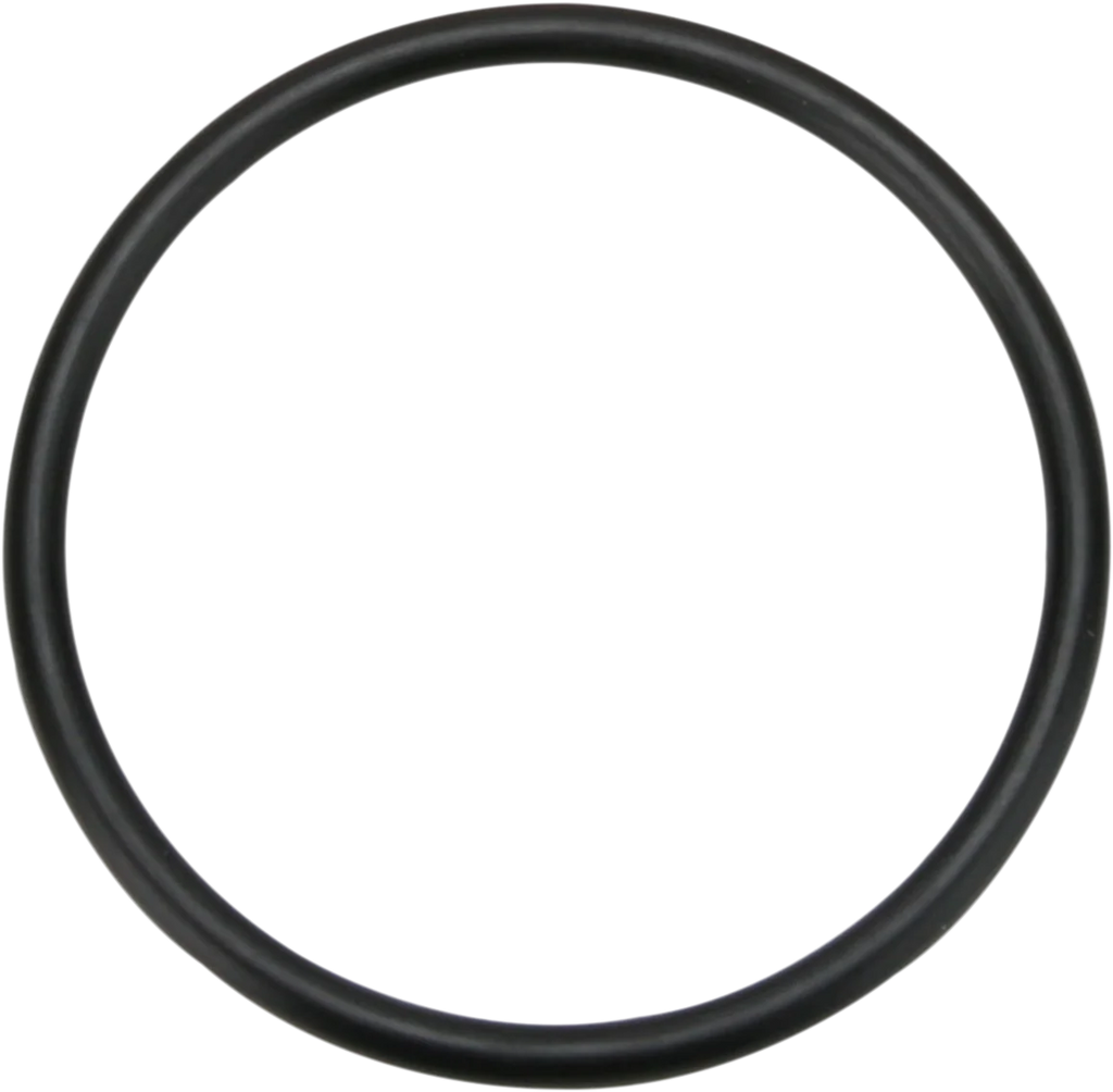 5th Gear Transmission O-Ring - XL James Gasket JGI-11113 - Main Product View