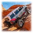 Load image into Gallery viewer, Photo - Close Up
