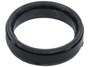 Seal Ring