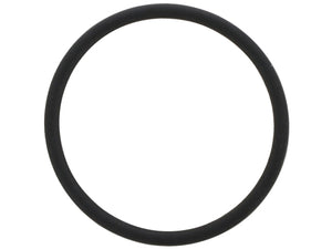 Turbo Drain O-Ring
