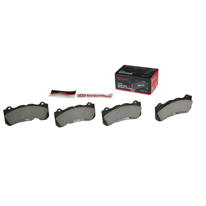 Photo - Close Up