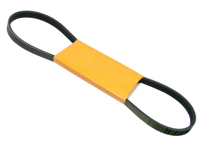 Belt 4K X 843