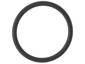 Thermostat Seal