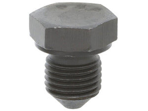 Timing Cover Plug