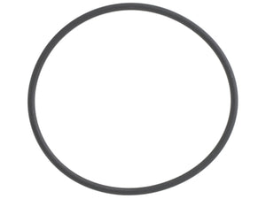 Thermostat O-Ring