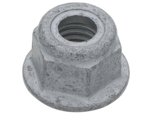 Hex Nut