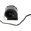 Load image into Gallery viewer, Blower Motor Assembly
