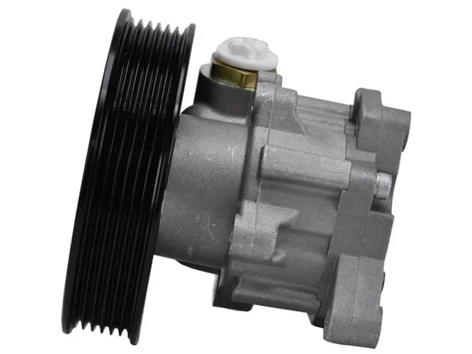 AAE Power Steering Pump 5999N - Installation View