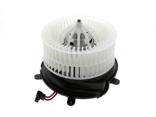 ACM Blower Motor Assembly 0157.0401 - Side View