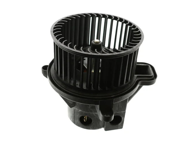 ACM Blower Motor Assembly 1557.6019