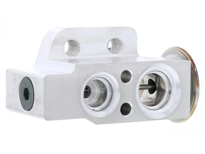 ACM Expansion Valve 1651.0020 - Side View