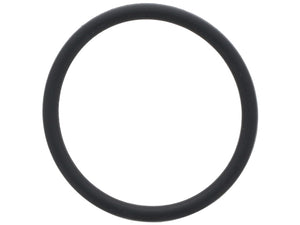 Coolant Pipe O-Ring