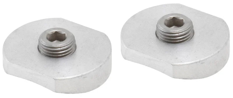 AEM 1/8in NPT Injector Bung Weld-In Fitting (2 Pack) - Main Product View