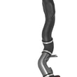 Load image into Gallery viewer, AEM 2015 Mitsubishi Lancer 2.0/2.4L - Cold Air Intake System - Additional View 8