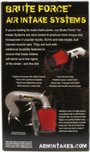 Load image into Gallery viewer, AEM 3.5 in x 9 in Dryflow Conical Air Filter - Back View
