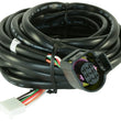 Load image into Gallery viewer, AEM Replacement Sensor Harness for Digital Wideband Gauge (30-4110) - Main Product View