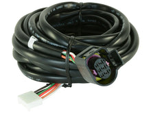 Load image into Gallery viewer, AEM Replacement Sensor Harness for Digital Wideband Gauge (30-4110) - Main Product View
