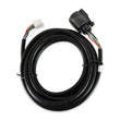 Load image into Gallery viewer, AEM Replacement Sensor Harness for Digital Wideband Gauge (30-4110) - Installation View