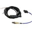 Load image into Gallery viewer, AEM X-Series Inline Wideband UEGO Controller - Main Product View