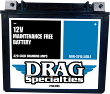 Load image into Gallery viewer, AGM Battery - YTX20HL FT DragSpecialties CTX20HL FA FT - Main Product View