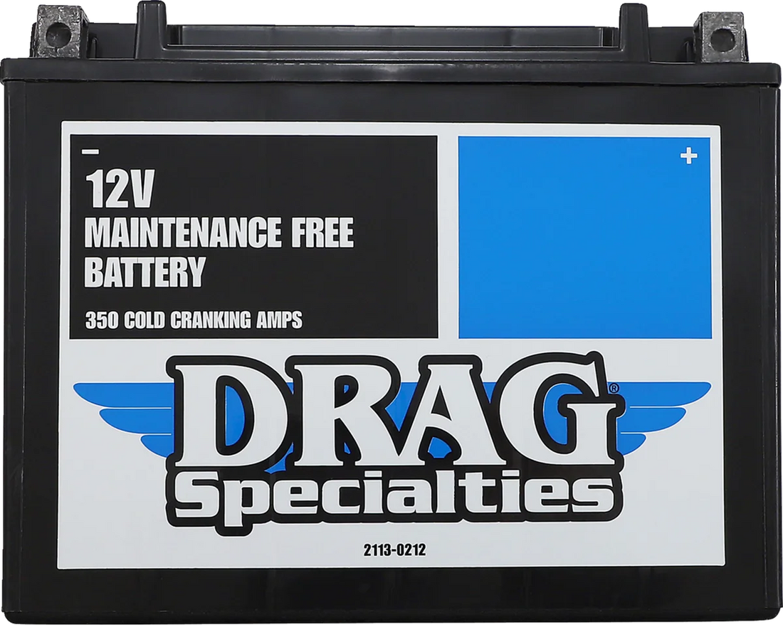 AGM Battery - YTX24HLBS DragSpecialties DTX24HL-BS - Side View