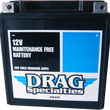 Load image into Gallery viewer, AGM Battery - YTX24HLBS DragSpecialties DTX24HL-BS - Additional View 6