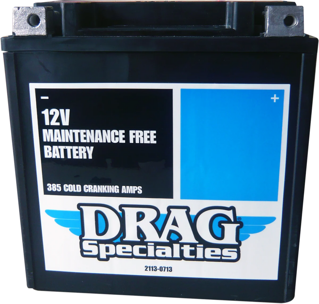 AGM Battery - YTX24HLBS DragSpecialties DTX24HL-BS - Additional View 6