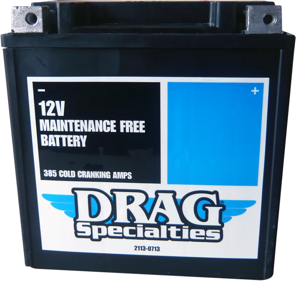 AGM Battery - YTX24HLBS DragSpecialties DTX24HL-BS - Additional View 6