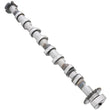 Load image into Gallery viewer, AMC Camshaft 647292