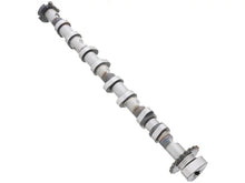 Load image into Gallery viewer, AMC Camshaft 647292
