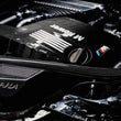 Load image into Gallery viewer, AMS Performance 15-18 BMW M3 / 15-20 BMW M4 w/ S55 3.0L Turbo Engine Carbon Fiber Intake - Additional View 6