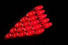 Load image into Gallery viewer, ANZO 2003-2005 Nissan 350Z LED Taillights Black - Back View