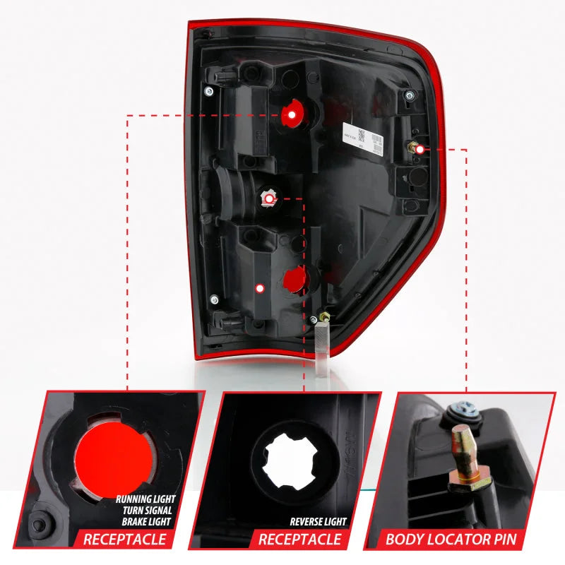 ANZO 2009-2014 Ford F-150 Euro Taillight Red/Clear (W/O Bulb) - Additional View 5