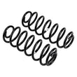 Load image into Gallery viewer, ARB Coil Rear Jeep Jl - Back View