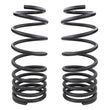 Load image into Gallery viewer, ARB / OME 2024 Toyota Land Cruiser Prado 250 Coil Spring - Rear - Main Product View