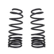 Load image into Gallery viewer, ARB / OME 2024 Toyota Land Cruiser Prado 250 Coil Spring - Rear - Back View
