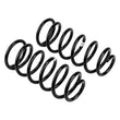 Load image into Gallery viewer, ARB / OME Coil Spring Front Gu - Additional View 5