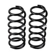 Load image into Gallery viewer, ARB / OME Coil Spring Front Gu Light - Back View