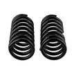 Load image into Gallery viewer, ARB / OME Coil Spring Front Lada Niva - Side View