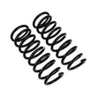 Load image into Gallery viewer, ARB / OME Coil Spring Front Lc Rj70 - Back View