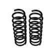 Load image into Gallery viewer, ARB / OME Coil Spring Front Lc Rj70 Hd- - Back View